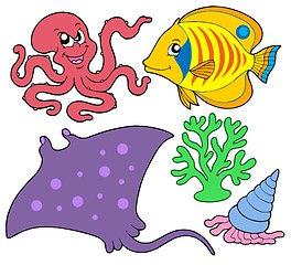 Image showing Cute marine animals collection 4