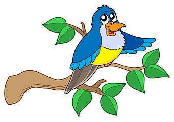 Image showing Blue bird sitting on branch