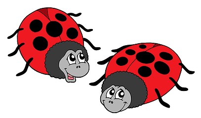 Image showing Cute ladybugs