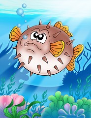 Image showing Balloonfish with bubbles