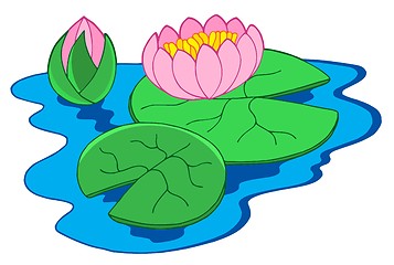 Image showing Pink water lilies