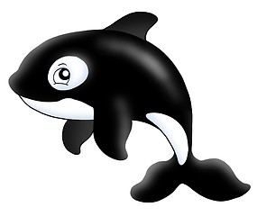 Image showing Killer whale