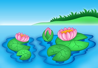 Image showing Pink water lilies 2
