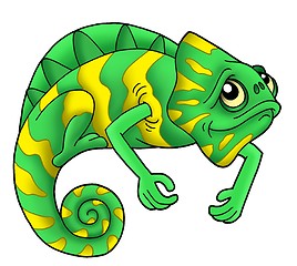 Image showing Green chameleon