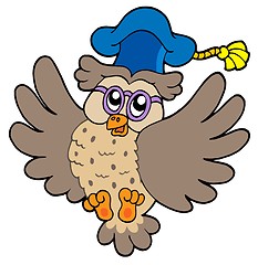 Image showing Flying owl teacher