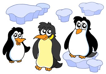 Image showing Penguins collection