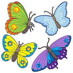 Image showing Butterfly collection 2