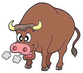 Image showing Angry bull