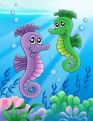 Image showing Pair of sea horses