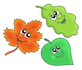 Image showing Cute autumn leaves