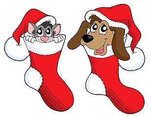 Image showing Cute cat and dog in Christmas socks