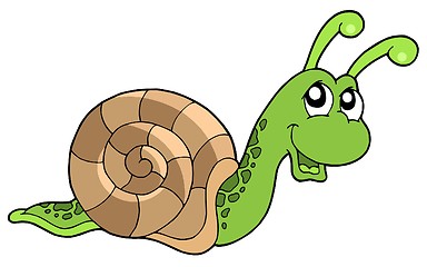 Image showing Cute snail