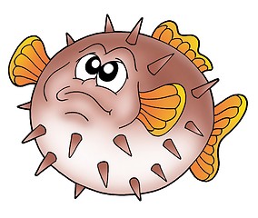 Image showing Balloon fish