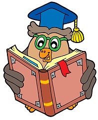 Image showing Owl teacher reading book