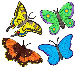 Image showing Butterfly collection