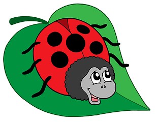 Image showing Cute ladybug on leaf