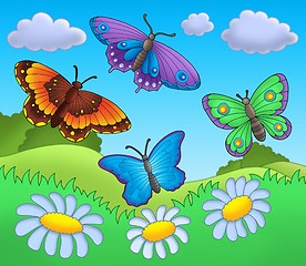 Image showing Butterflies on meadow