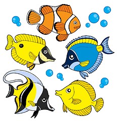 Image showing Coral fish collection