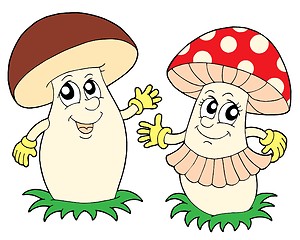 Image showing Mushroom and toadstool