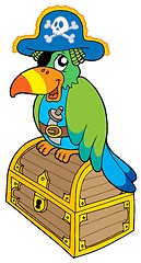 Image showing Pirate parrot sitting on chest