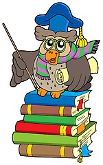 Image showing Owl teacher with parchment on books