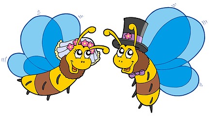 Image showing Honey bees wedding couple