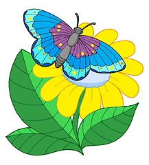 Image showing Butterfly on yellow flower