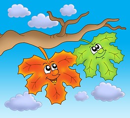 Image showing Pair of autumn leaves on blue sky