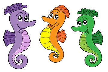 Image showing Cute sea horses