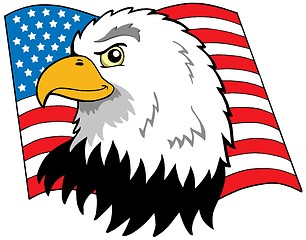 Image showing American eagles head with flag