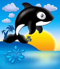 Image showing Killer whale with sunset