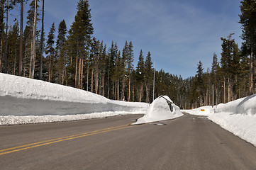 Image showing Snowed in