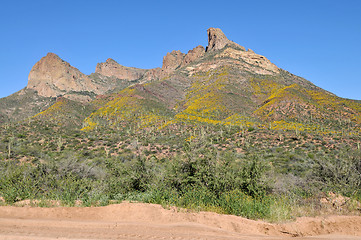 Image showing Desert