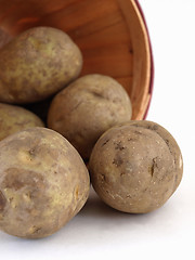 Image showing Brown Potatoes