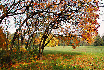 Image showing Autumn landscape