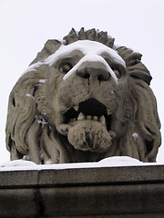 Image showing Lion Statue on Chains Bridge