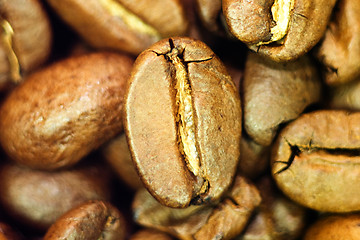 Image showing Coffee been close-up