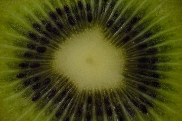 Image showing Center of kiwi close-up