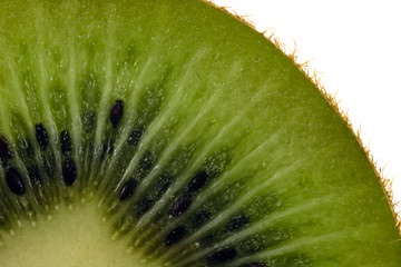 Image showing Kiwi close-up