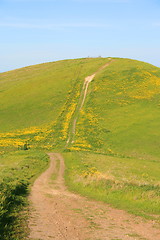 Image showing Mountain Trail