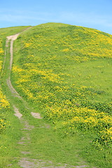 Image showing Mountain Trail