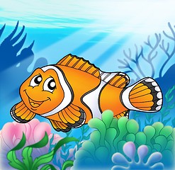 Image showing Clownfish with anemone