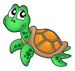 Image showing Little sea turtle