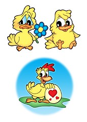 Image showing Cute chickens