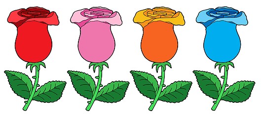 Image showing Various color roses collection