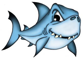 Image showing Shark on white background