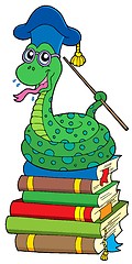 Image showing Snake teacher on pile of books