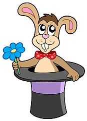 Image showing Rabbit with flower in hat