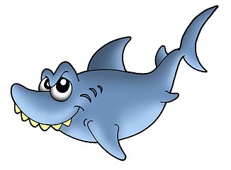 Image showing Shark