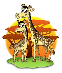 Image showing Giraffes